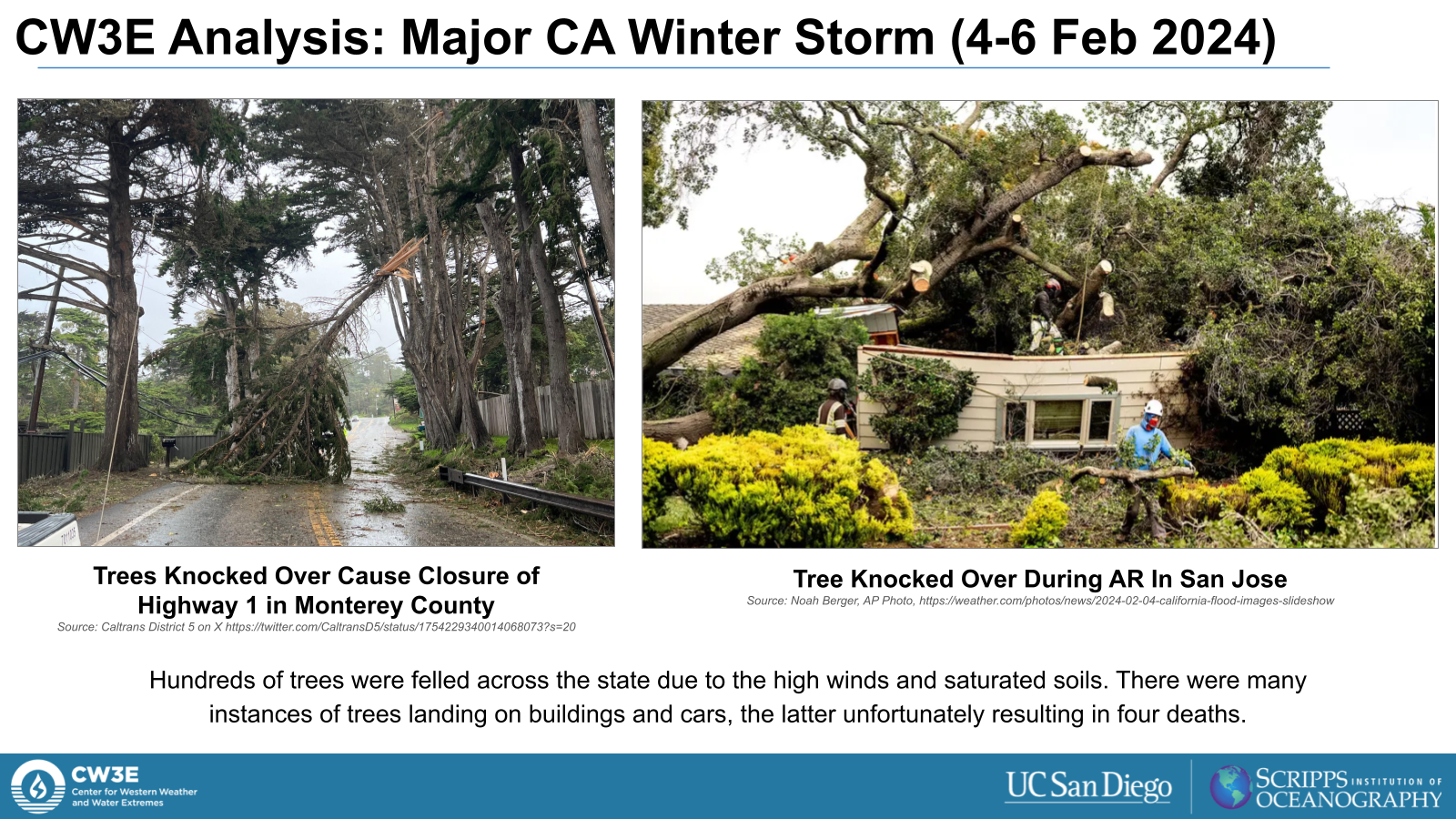 Images of trees toppled